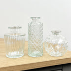 3 Piece Glass Bud Vase Set - Clear