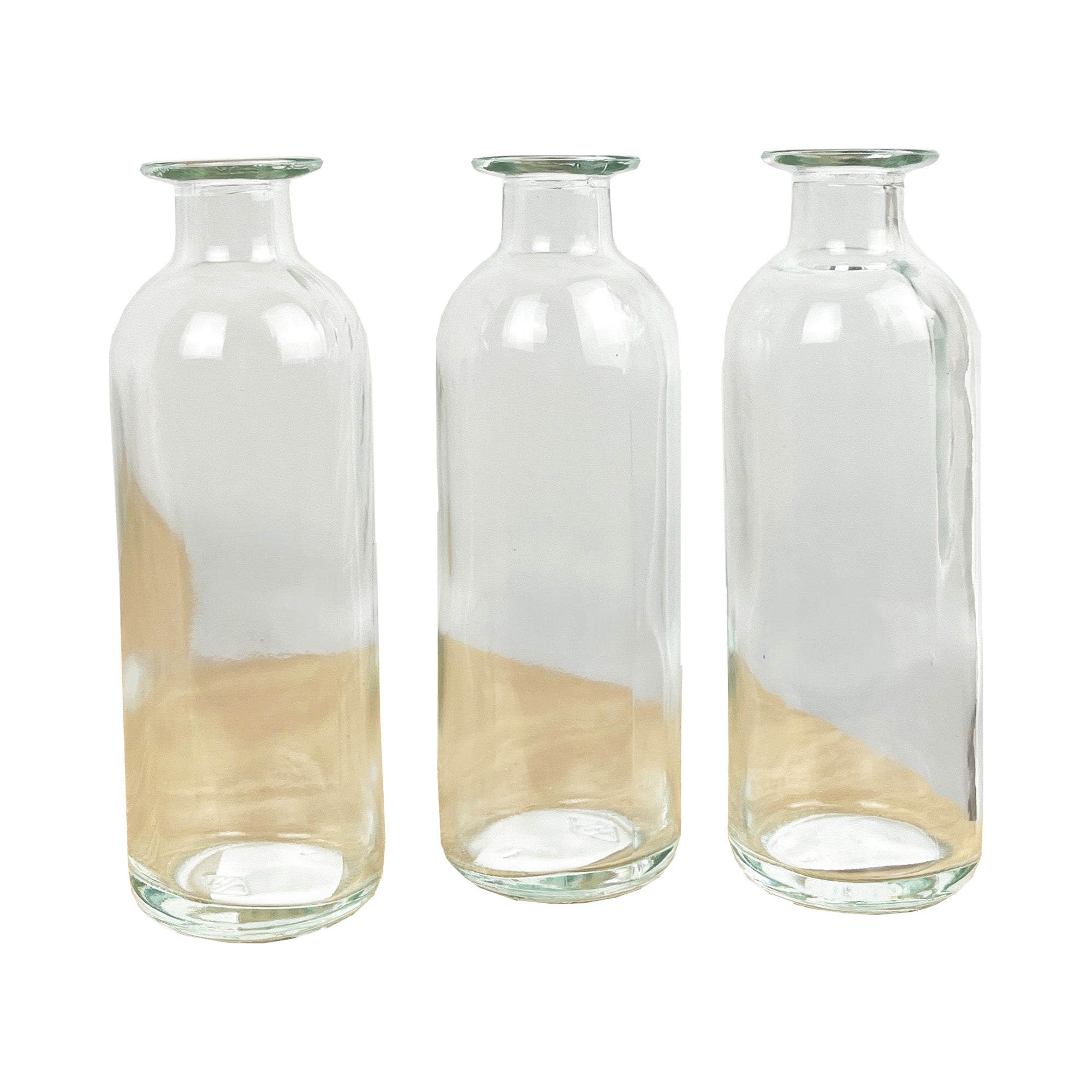 Set of 3 x 16cm Glass Bottle Bud Vases - Clear