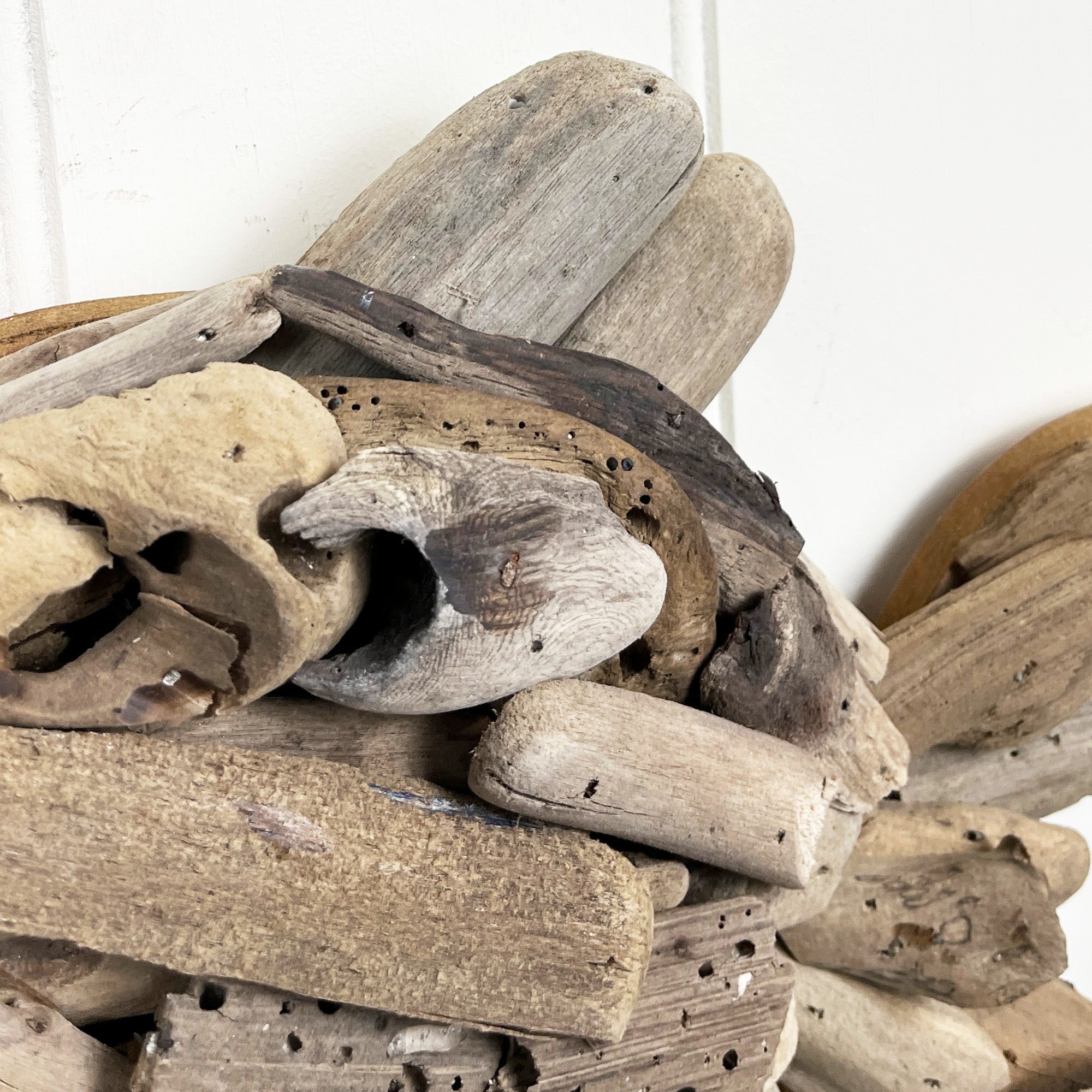 34cm Driftwood Fish Wall Decoration