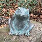 17cm Resin Frog Ornament – Patina Style Finish