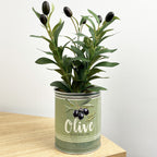 29.5cm Artificial Olive Plant in Vintage Tin Can Plant Pot