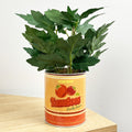 28cm Artificial Tomato Plant in Vintage Tin Can Plant Pot