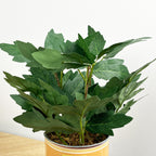28cm Artificial Tomato Plant in Vintage Tin Can Plant Pot