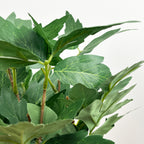 28cm Artificial Tomato Plant in Vintage Tin Can Plant Pot