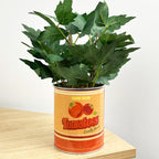 28cm Artificial Tomato Plant in Vintage Tin Can Plant Pot