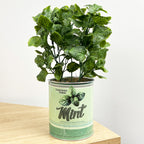28.5cm Artificial Mint Plant in Vintage Tin Can Plant Pot
