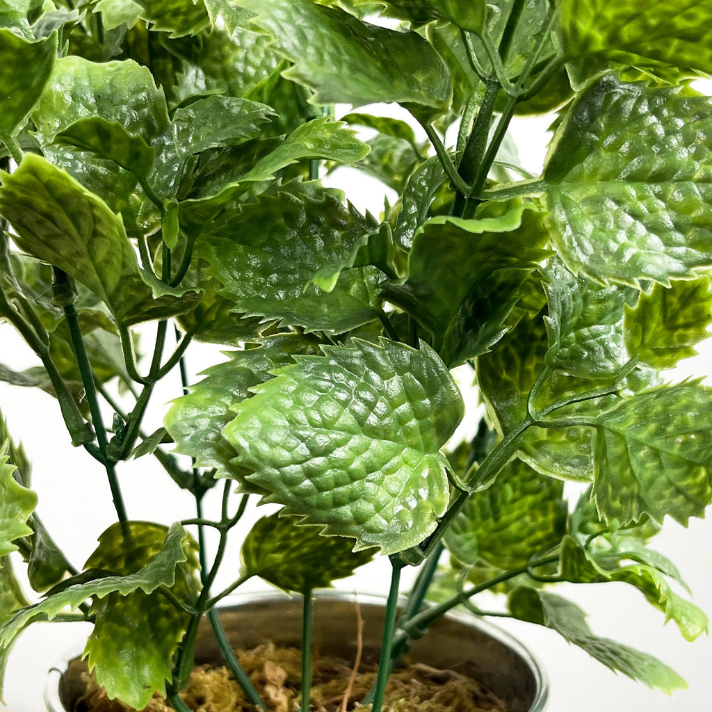 28.5cm Artificial Mint Plant in Vintage Tin Can Plant Pot