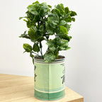 28.5cm Artificial Mint Plant in Vintage Tin Can Plant Pot
