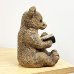 17.5cm Bear Reading a Book Ornament - Resin