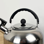 Small 2 Litre Whistling Kettle for Gas Hobs - Stainless Steel
