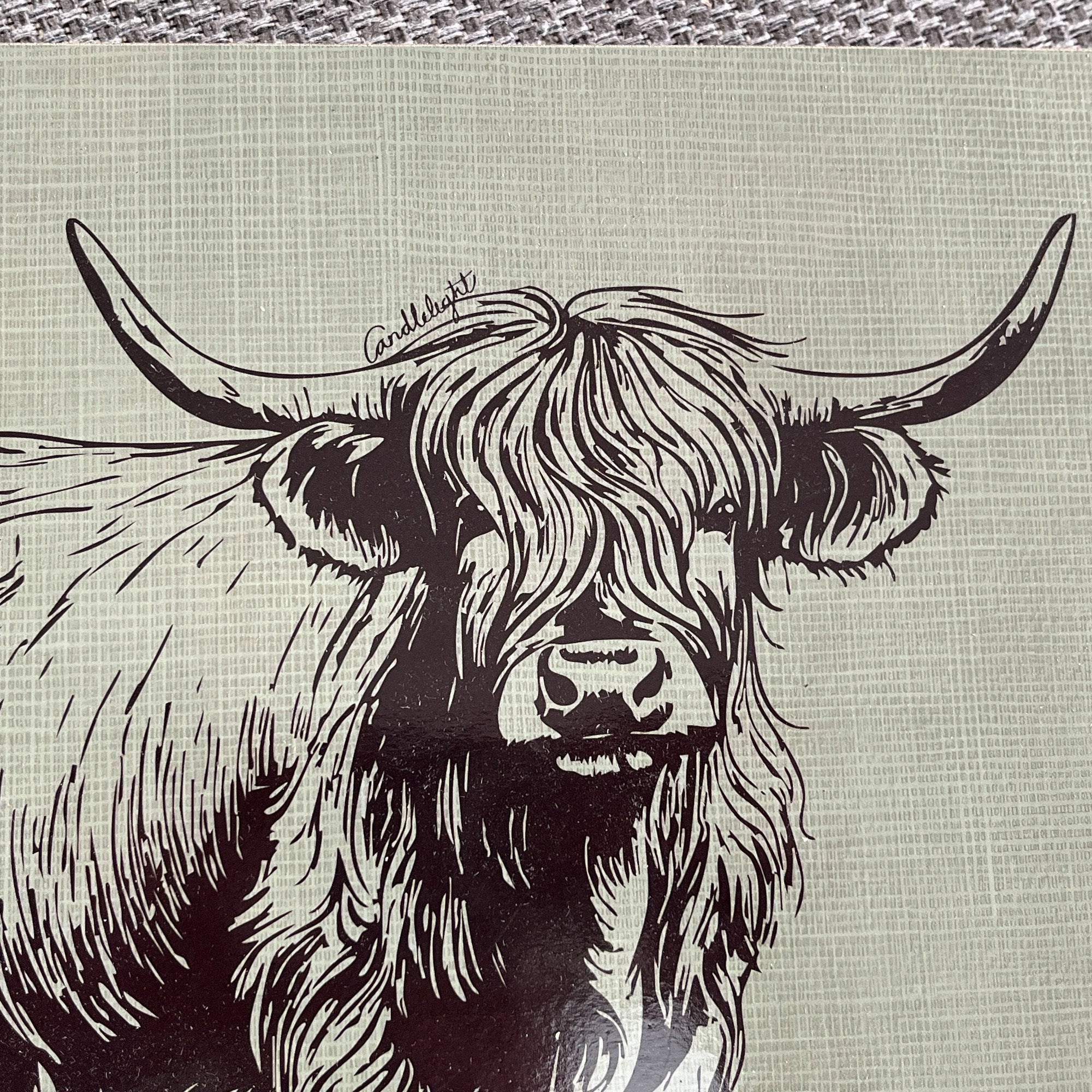 Set of 4 Placemats and Coasters - Green Highland Cow Illustration