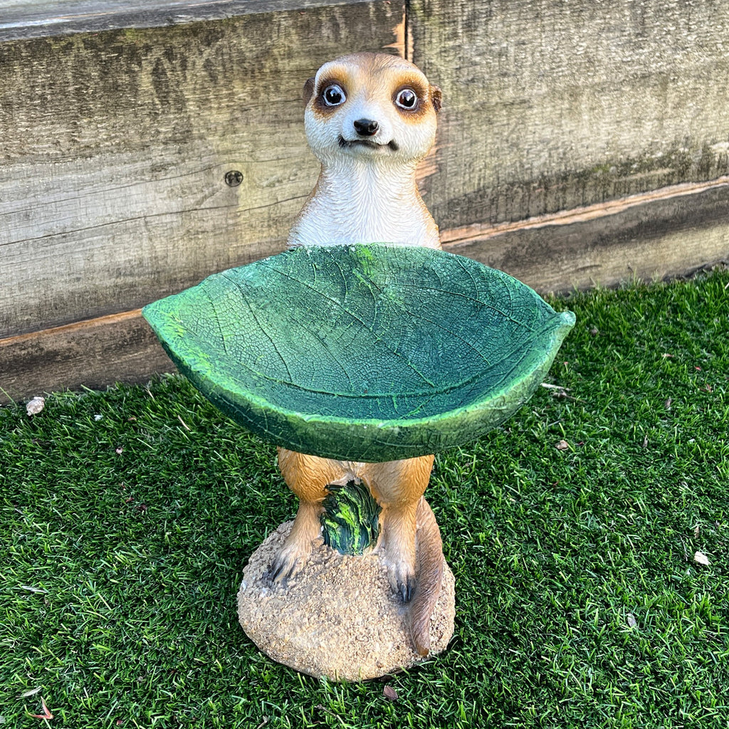 29.5cm Meerkat Holding a Leaf Garden Ornament / Statue - Resin