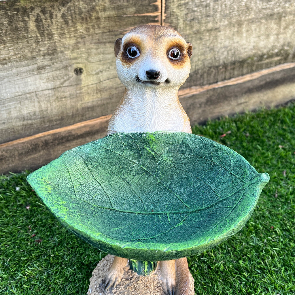 29.5cm Meerkat Holding a Leaf Garden Ornament / Statue - Resin