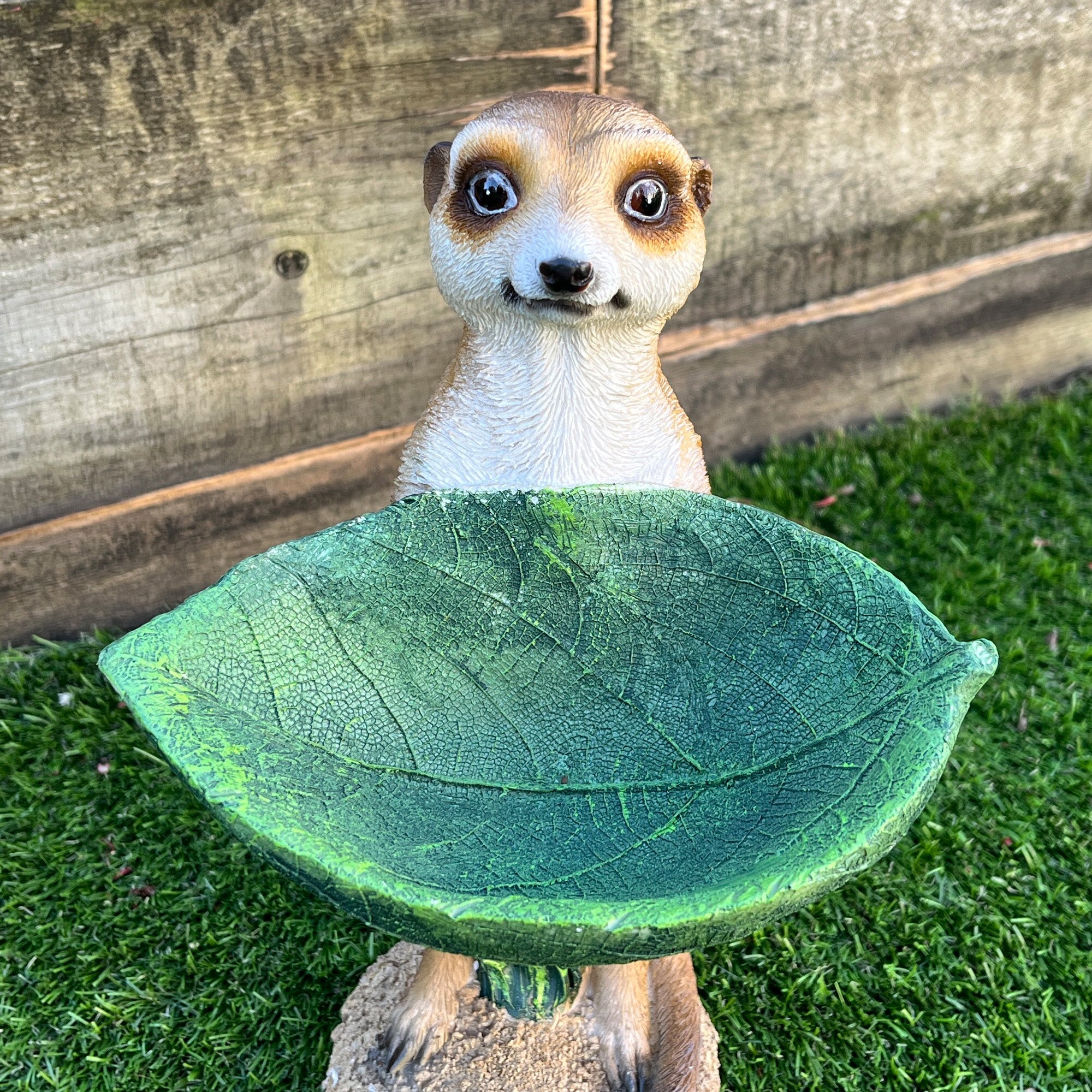 29.5cm Meerkat Holding a Leaf Garden Ornament / Statue - Resin