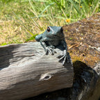 21cm Frogs on a Log Garden Ornament - Resin