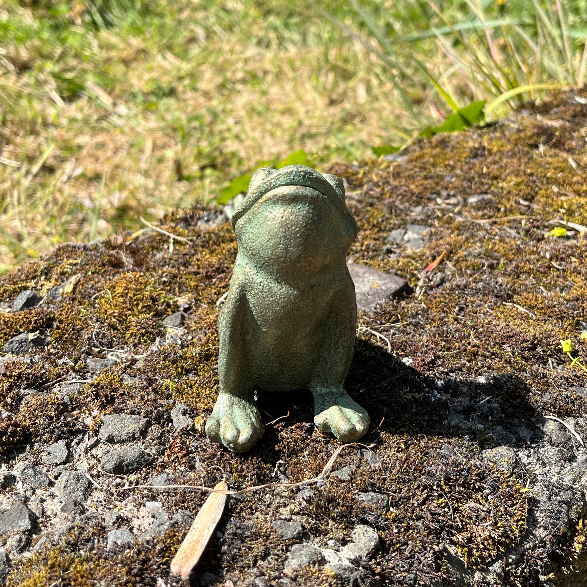 18.5cm Small Cast Iron Yoga Frog Garden Ornament