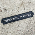 34.5cm 'Surround By Pricks' Funny Cast Iron Wall Sign