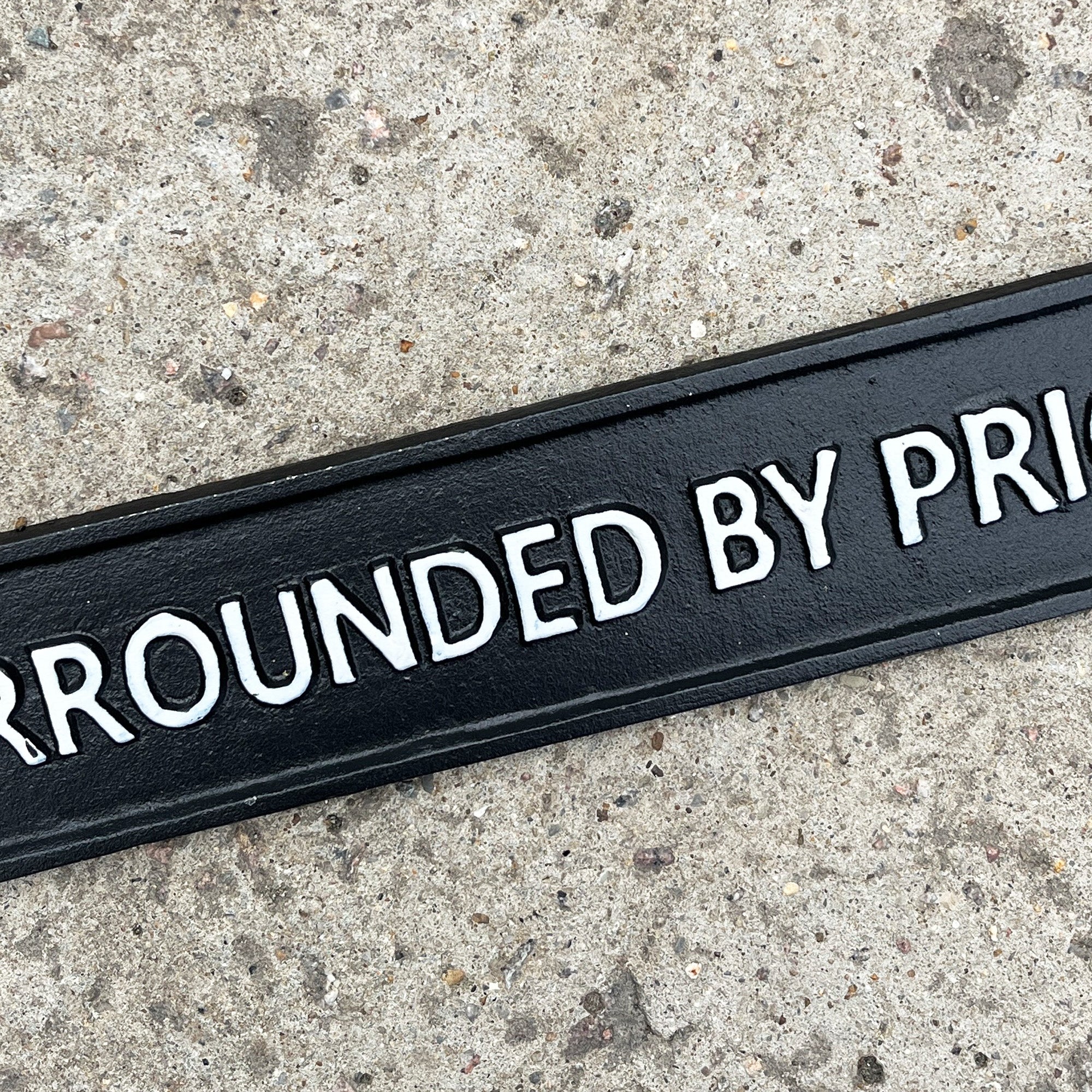 34.5cm 'Surround By Pricks' Funny Cast Iron Wall Sign