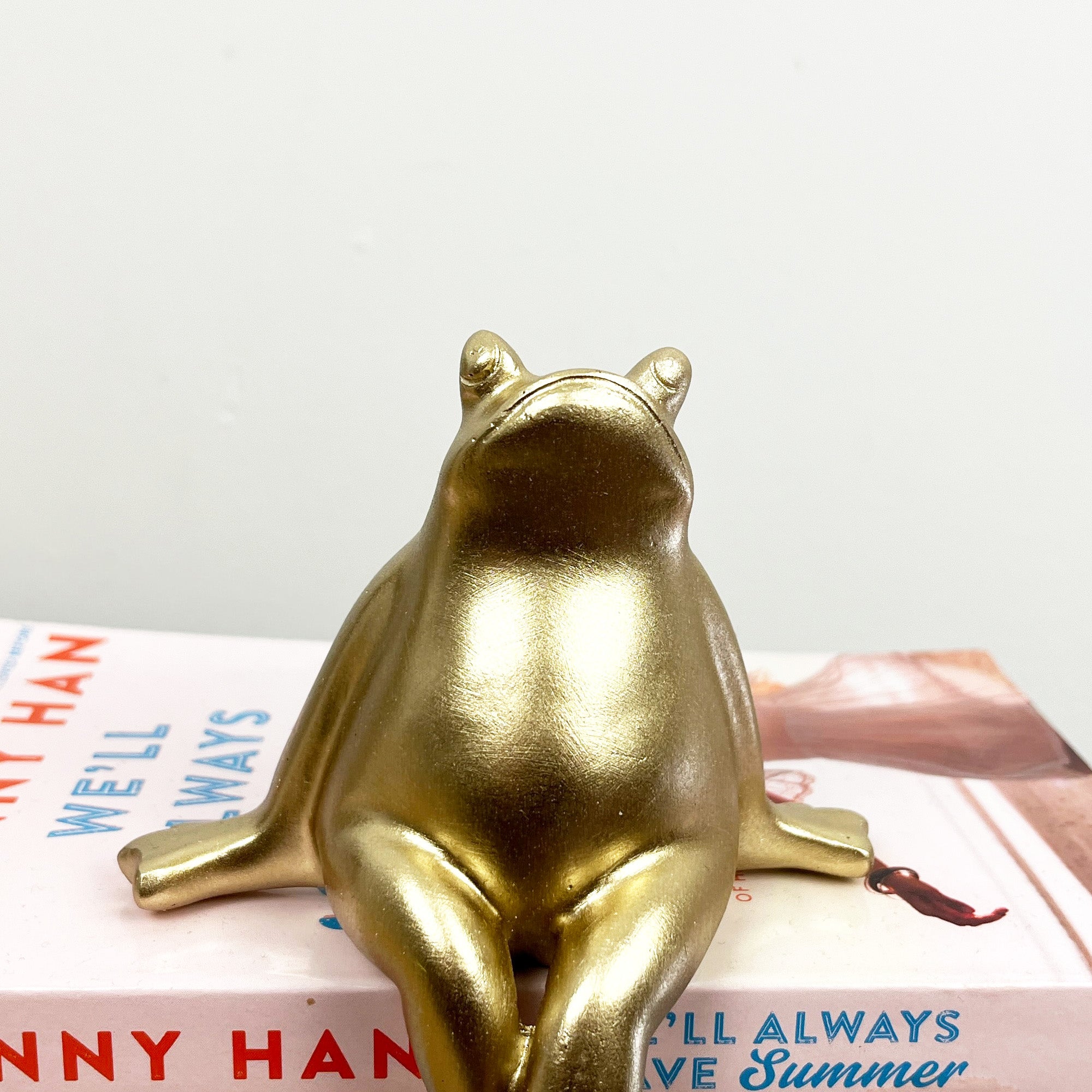 8cm Tall Shelf Sitting Frog Ornament - Resin