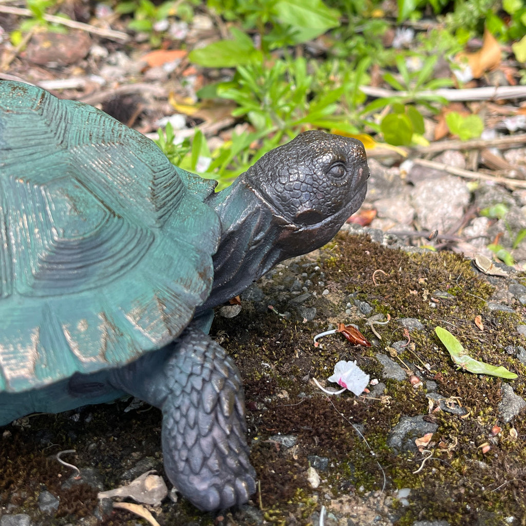 22cm Tortoise Garden Ornament - Resin