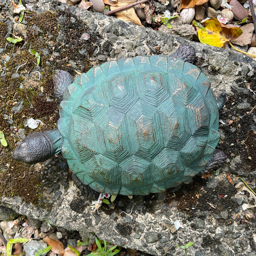 22cm Tortoise Garden Ornament - Resin