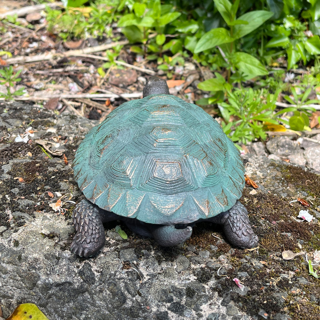 22cm Tortoise Garden Ornament - Resin