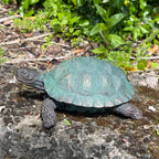 22cm Tortoise Garden Ornament - Resin