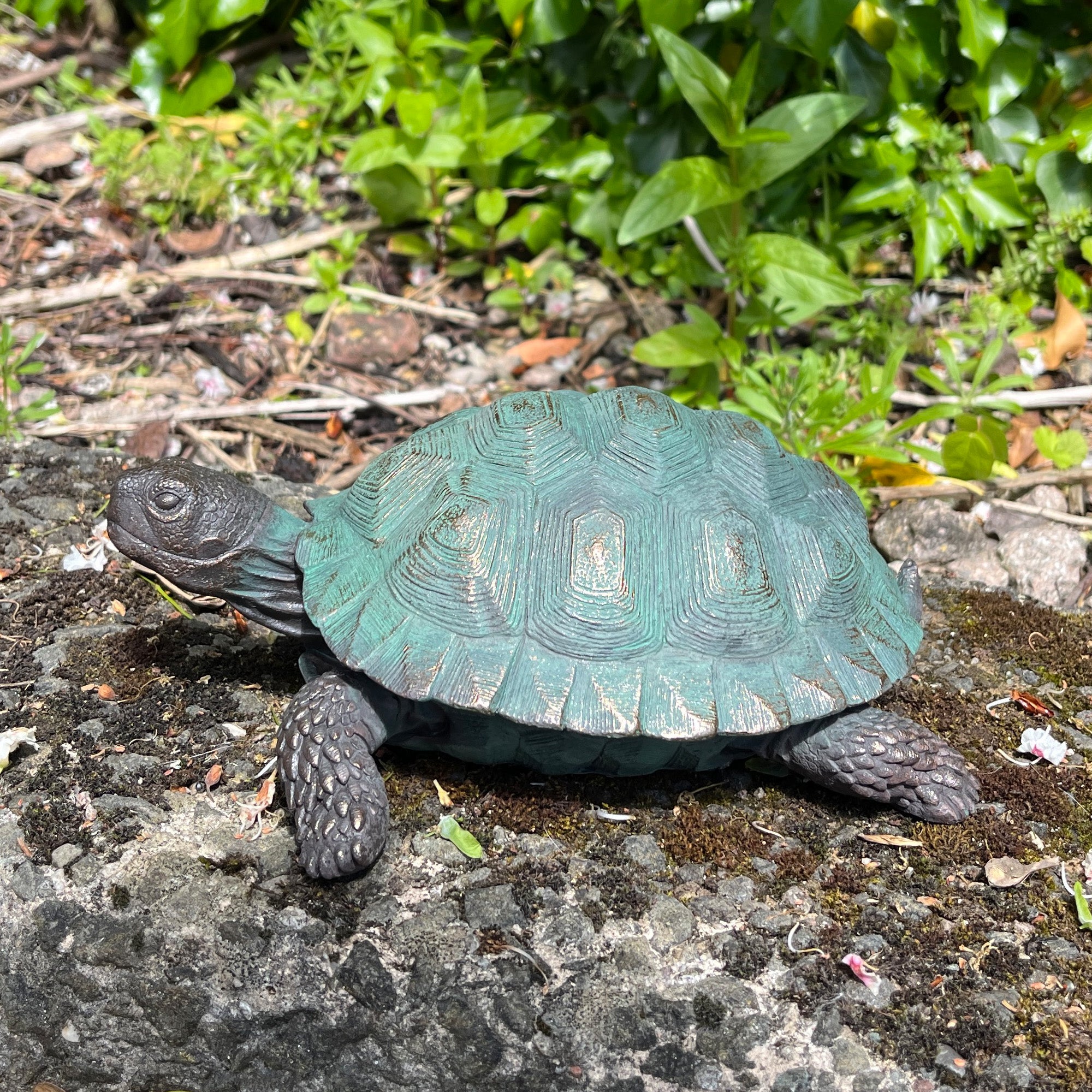 22cm Tortoise Garden Ornament - Resin