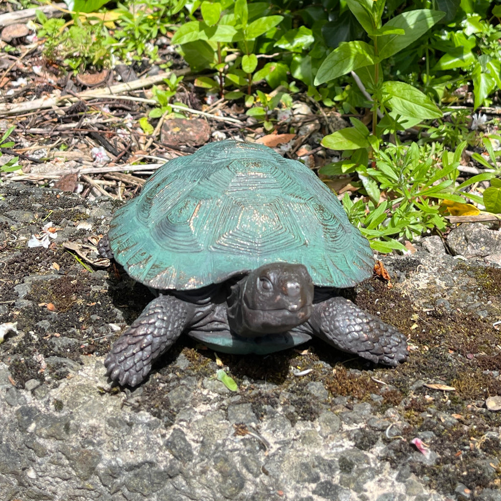 22cm Tortoise Garden Ornament - Resin