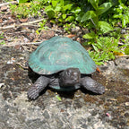 22cm Tortoise Garden Ornament - Resin