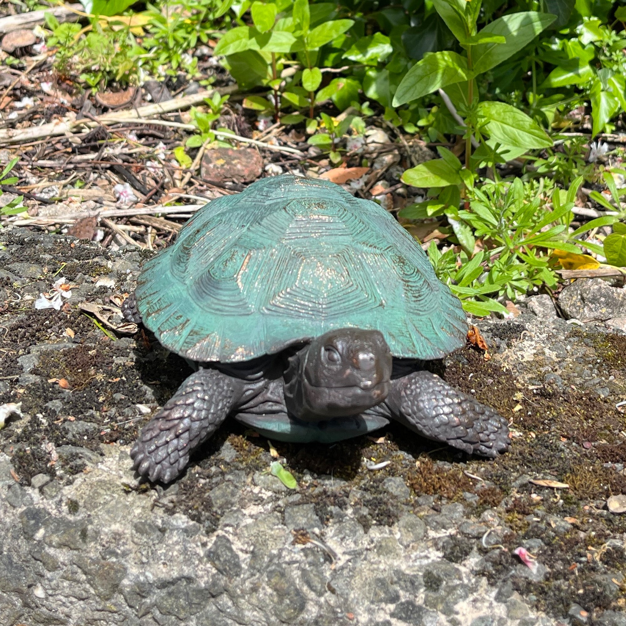 22cm Tortoise Garden Ornament - Resin