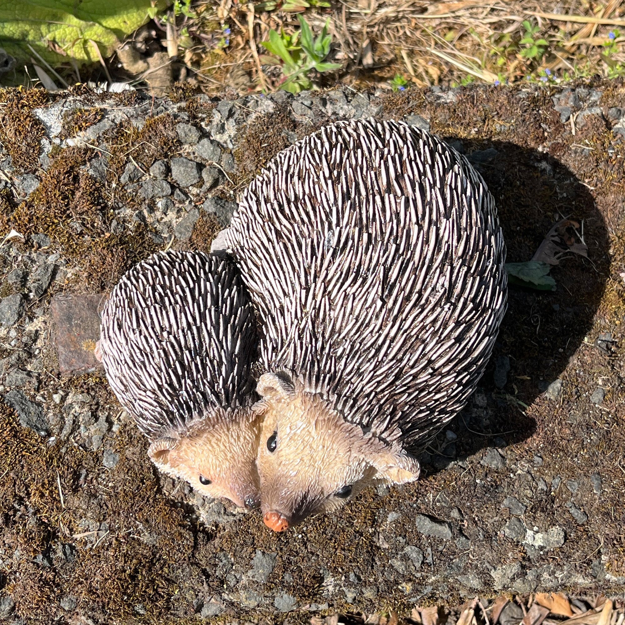 17cm Hedgehogs Garden Ornament - Resin
