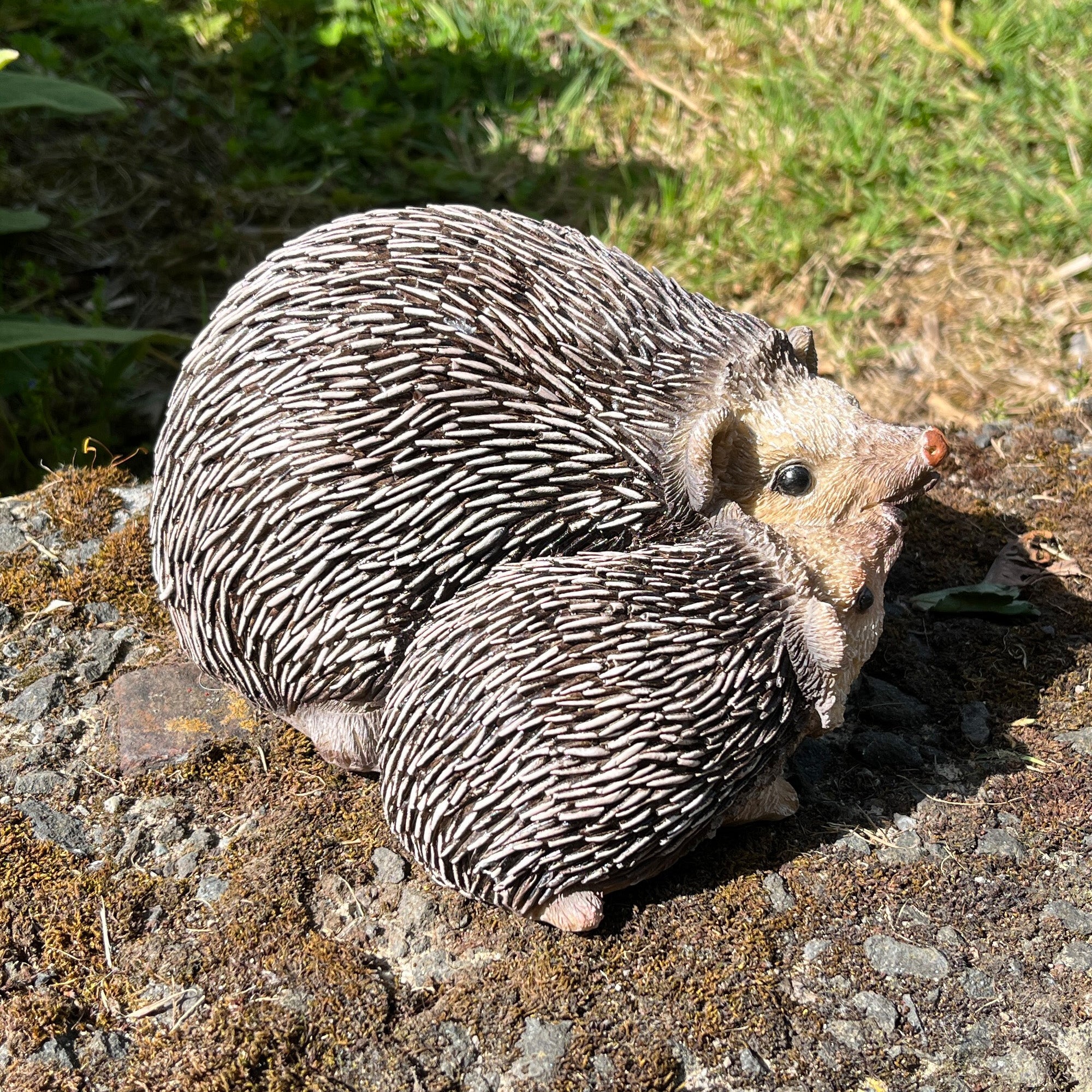 17cm Hedgehogs Garden Ornament - Resin