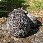 17cm Hedgehogs Garden Ornament - Resin