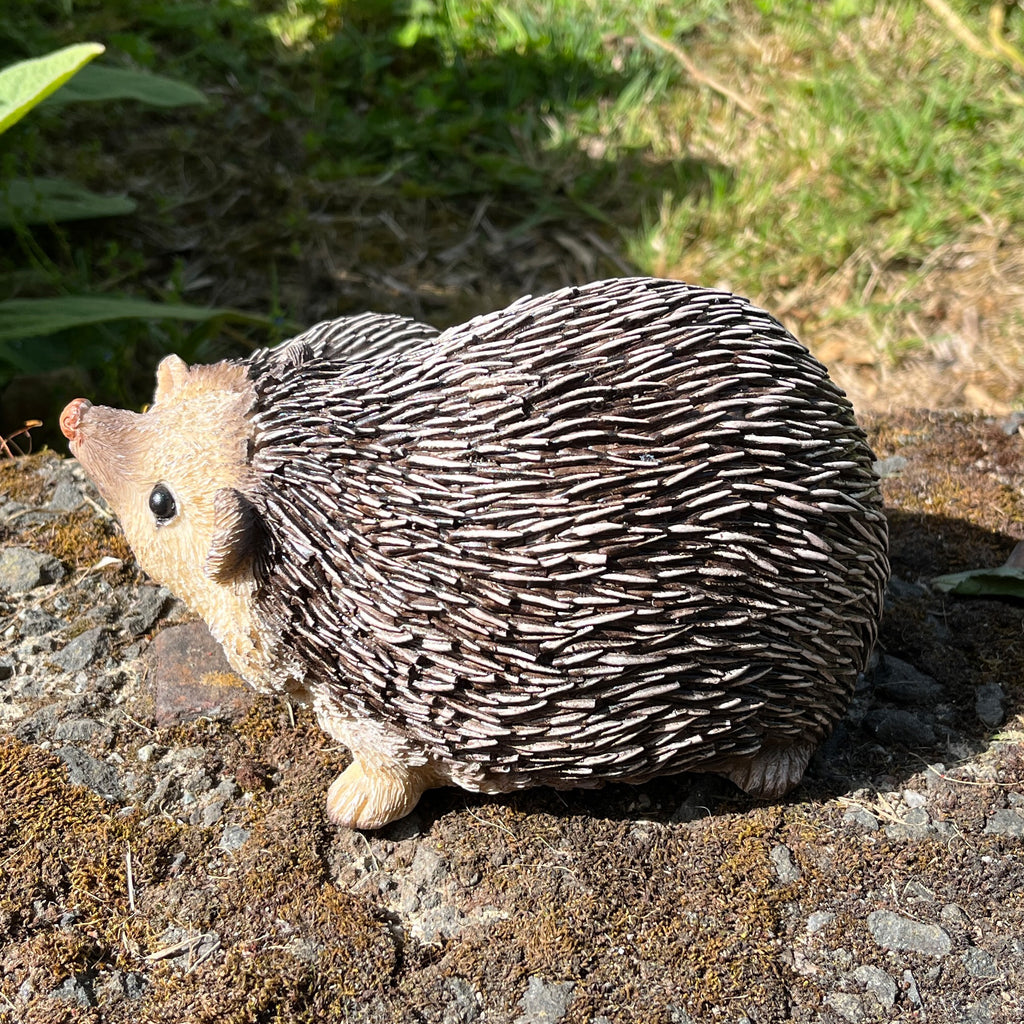 17cm Hedgehogs Garden Ornament - Resin