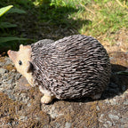 17cm Hedgehogs Garden Ornament - Resin