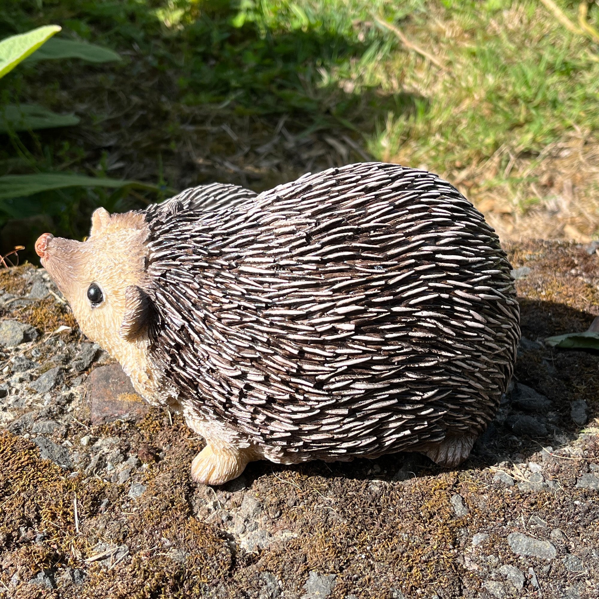 17cm Hedgehogs Garden Ornament - Resin