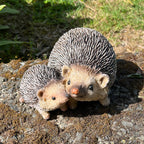 17cm Hedgehogs Garden Ornament - Resin