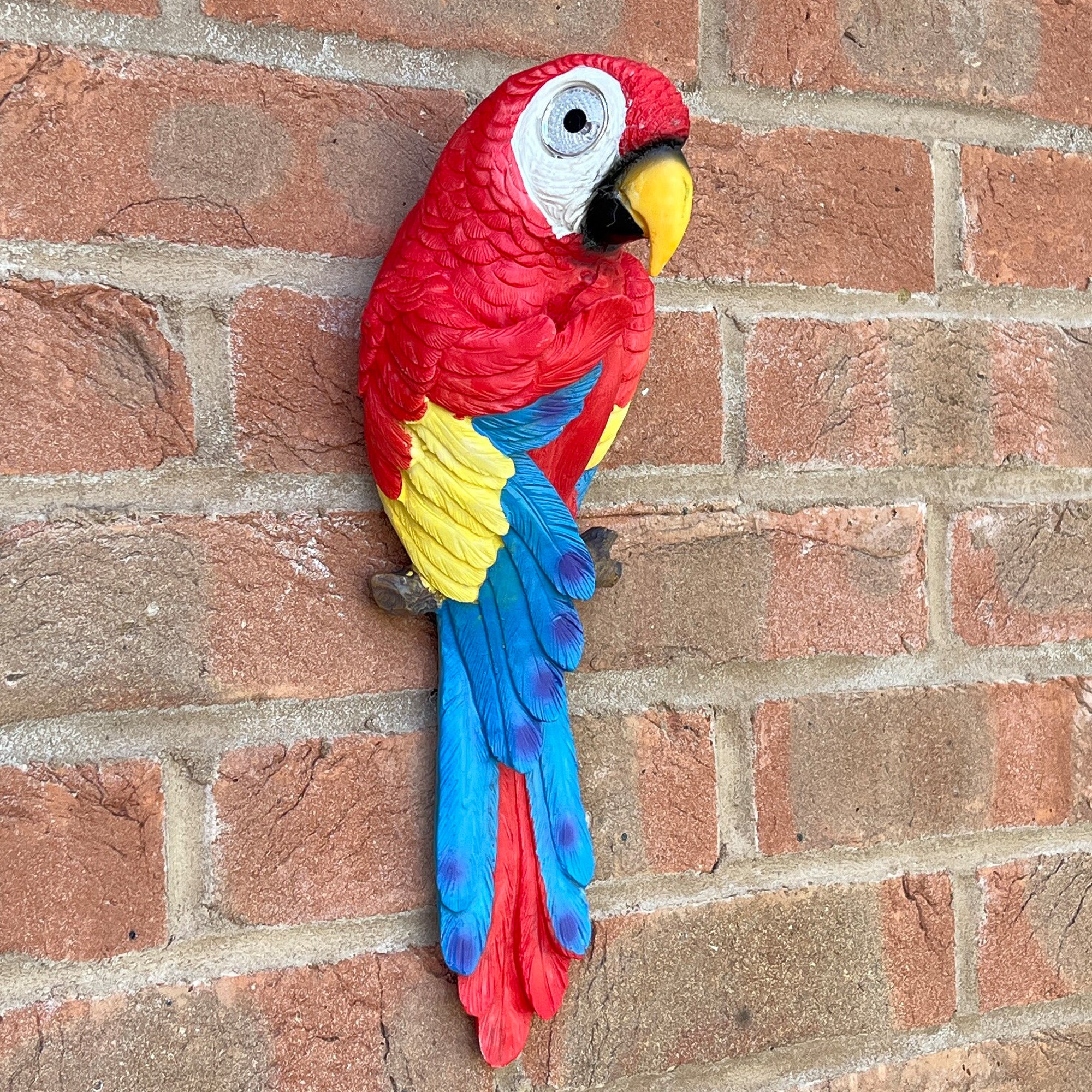 Wall Mounted Parrot Garden Ornament – Red