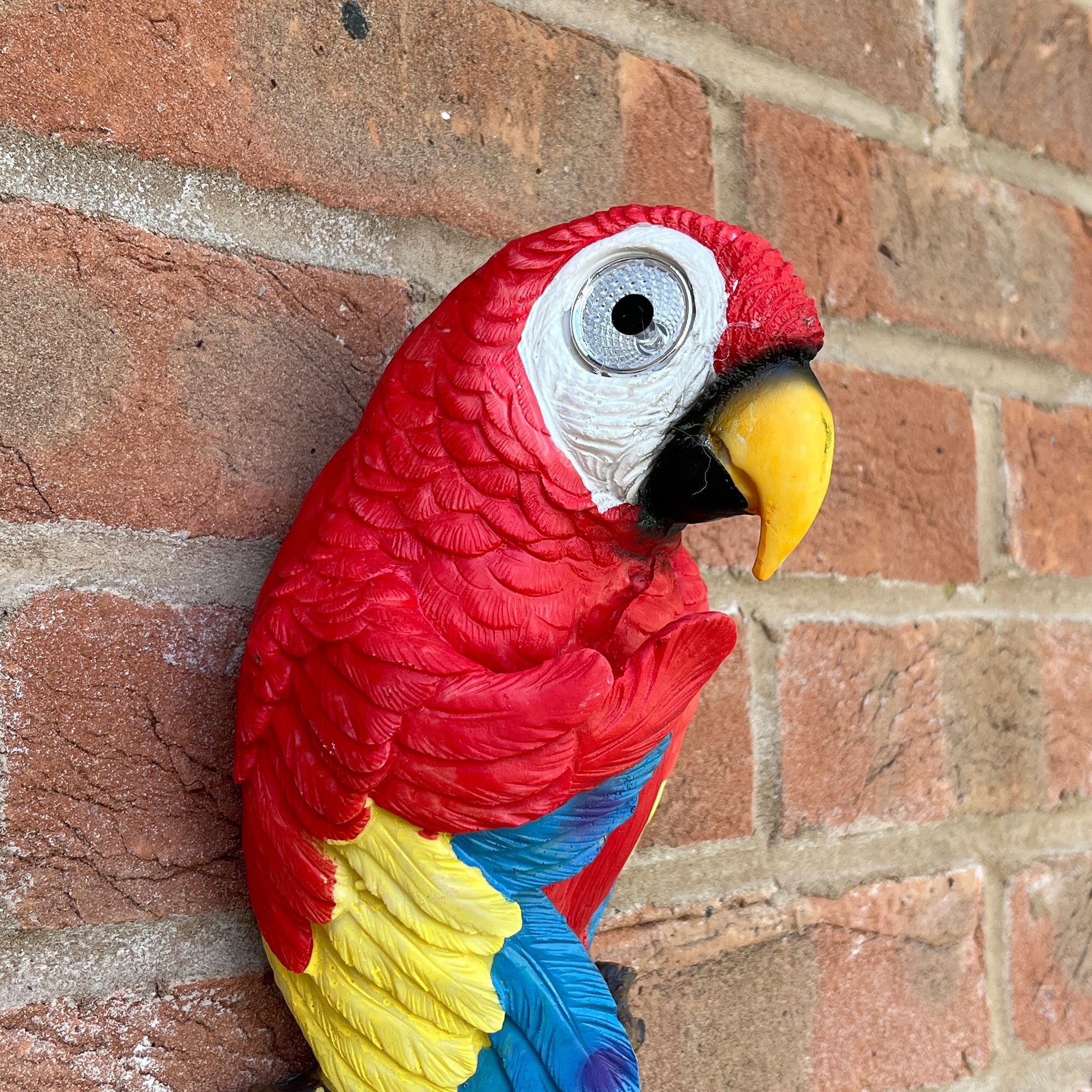 Wall Mounted Parrot Garden Ornament – Red