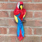 Wall Mounted Parrot Garden Ornament – Red