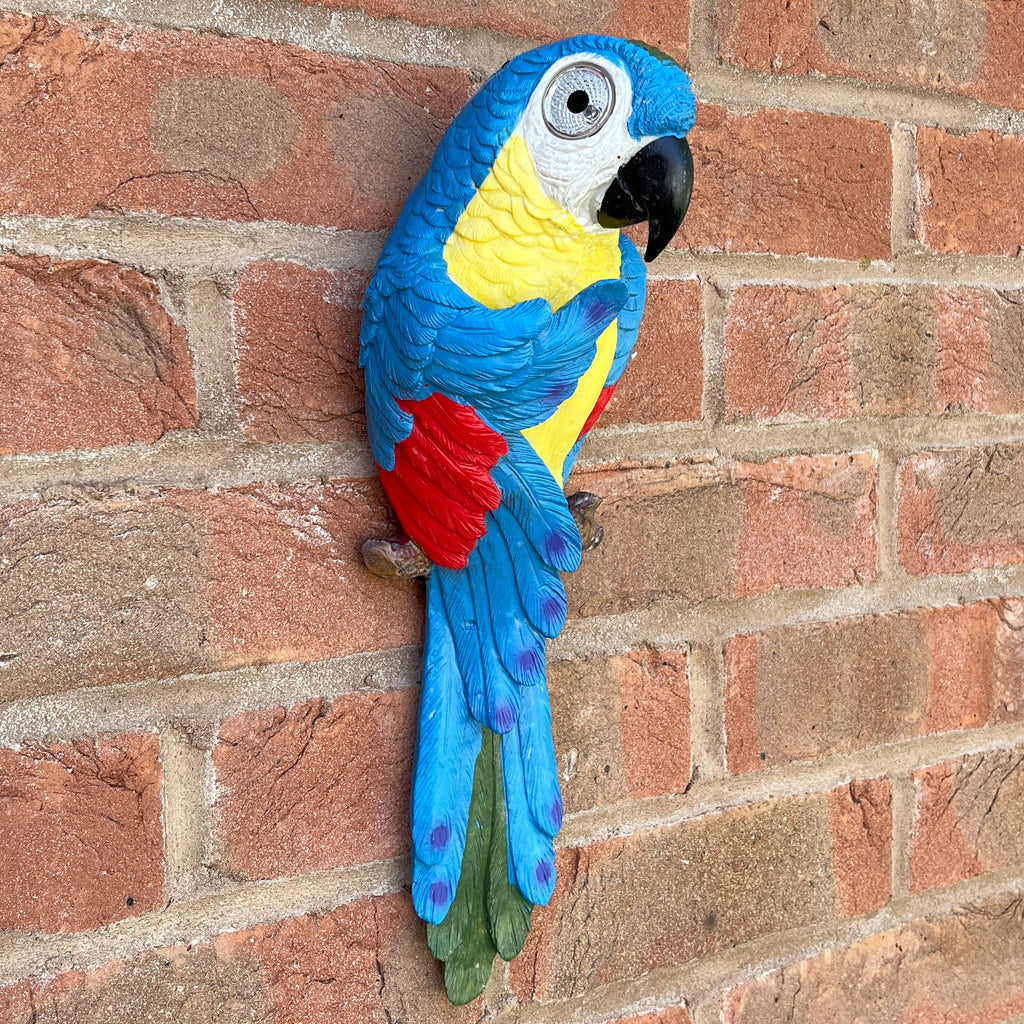 Wall Mounted Parrot Garden Ornament – Blue