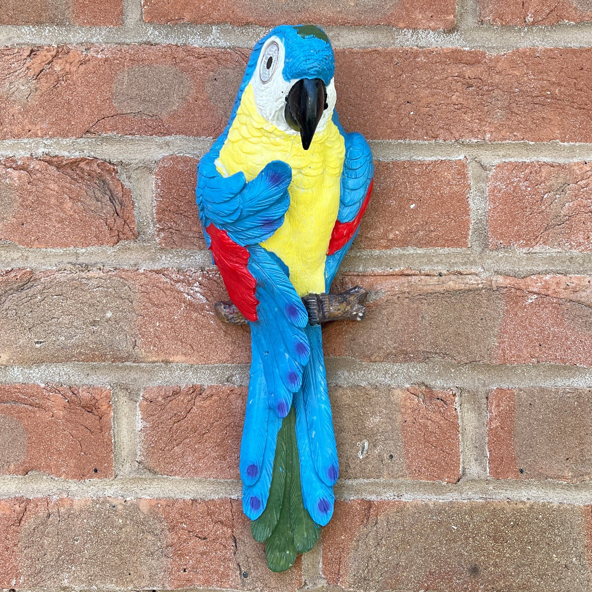 Wall Mounted Parrot Garden Ornament – Blue