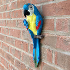 Wall Mounted Parrot Garden Ornament – Blue