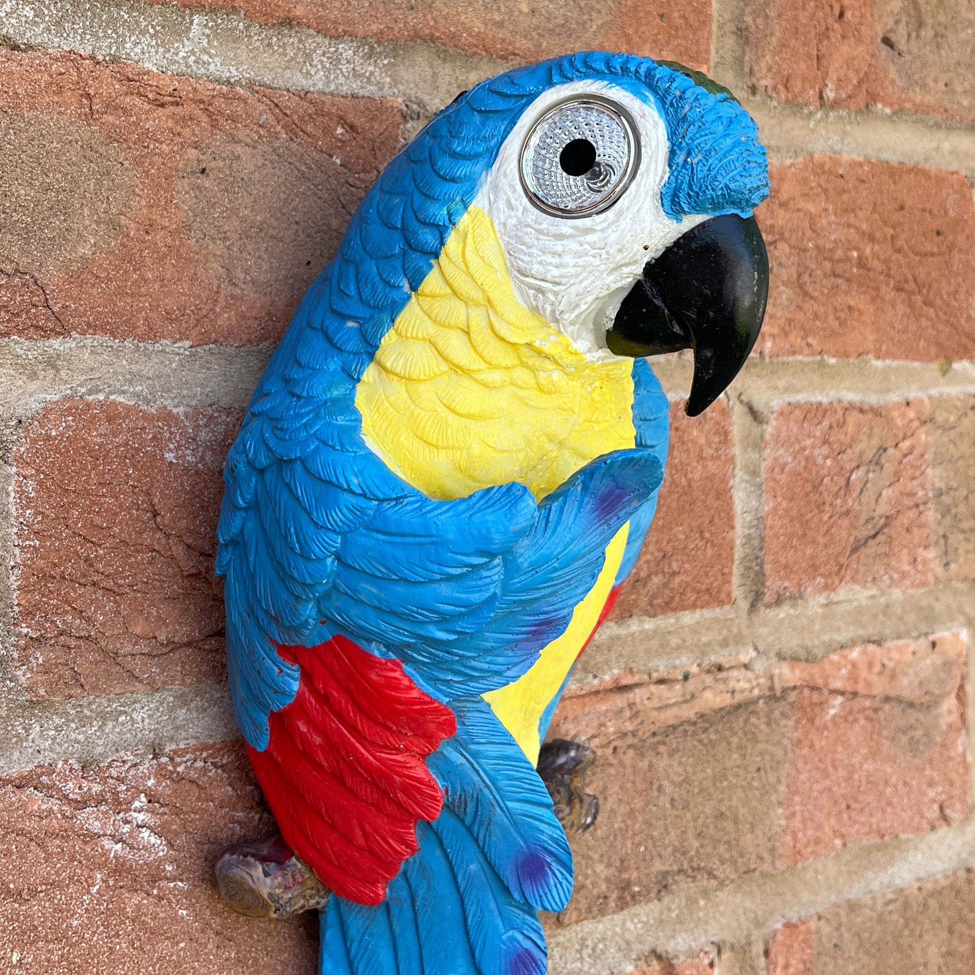 Wall Mounted Parrot Garden Ornament – Blue