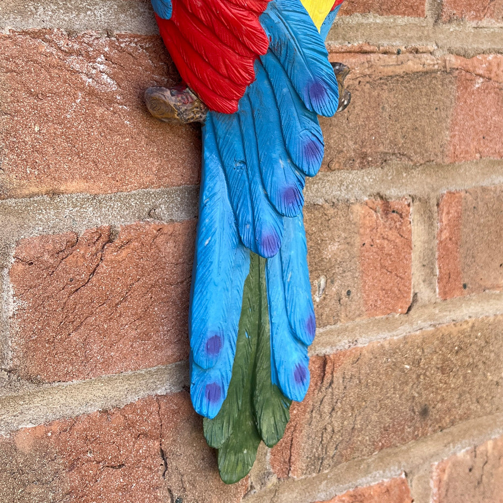 Wall Mounted Parrot Garden Ornament – Blue