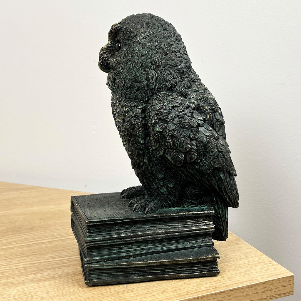 22.5cm Tall Owl on Books Ornament - Resin