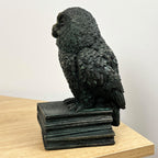 22.5cm Tall Owl on Books Ornament - Resin