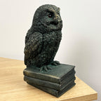 22.5cm Tall Owl on Books Ornament - Resin