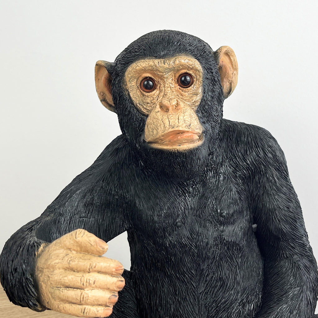 Novelty Monkey Wine Bottle Holder – Resin